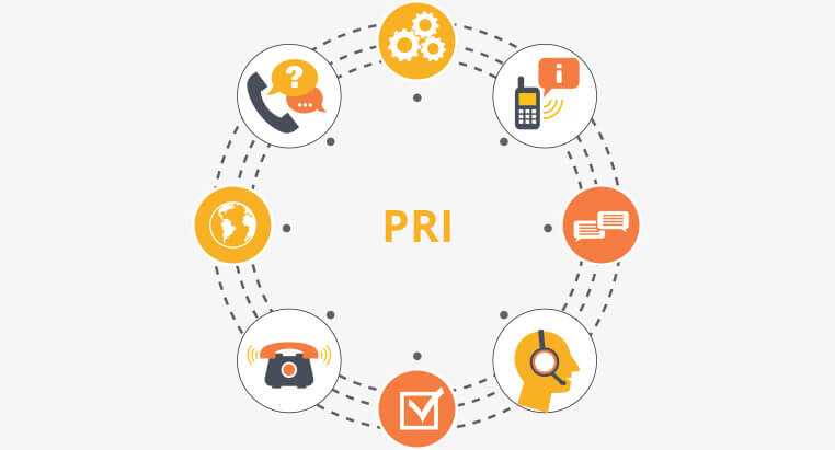 Primary Rate Interface (PRI) Enterprise Telephony